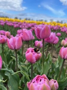 IMG_0012