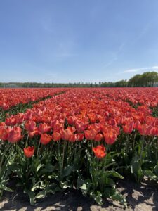 IMG_2861