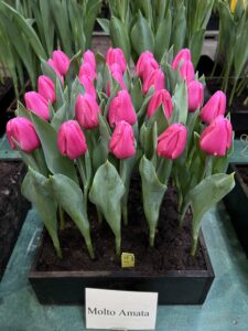 IMG_3965