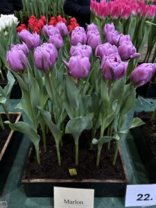 IMG_3967