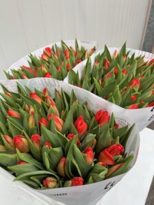 IMG_9409